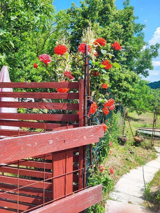 Apartment Dedo, Salara Farmhouse Копер Екстериор снимка