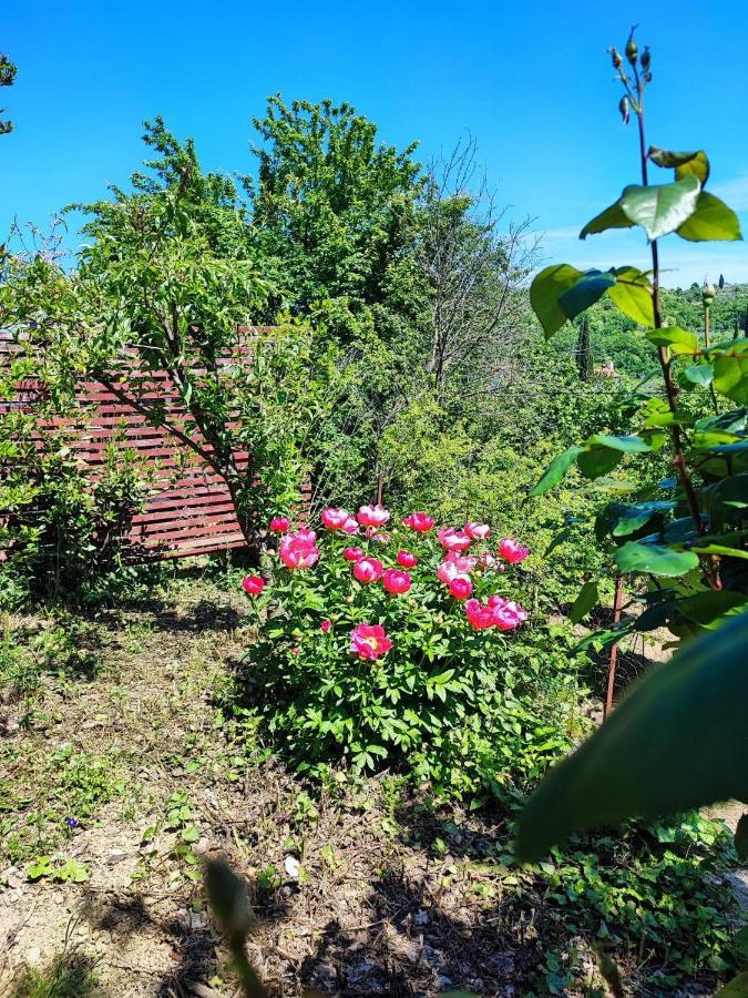 Apartment Dedo, Salara Farmhouse Копер Екстериор снимка